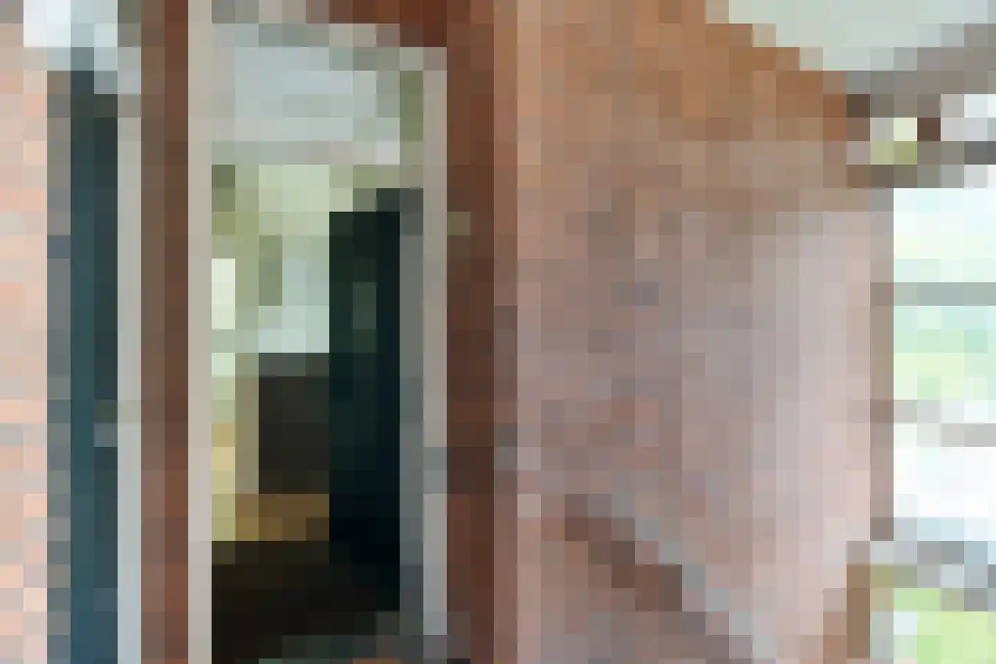 Abrikozenstraat 62 Den Haag thumbnail 8