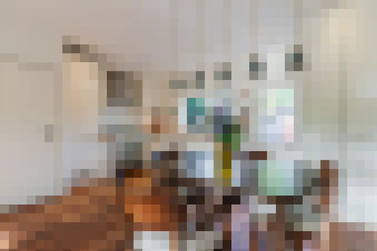 Abrikozenstraat 65 Amsterdam thumbnail 10