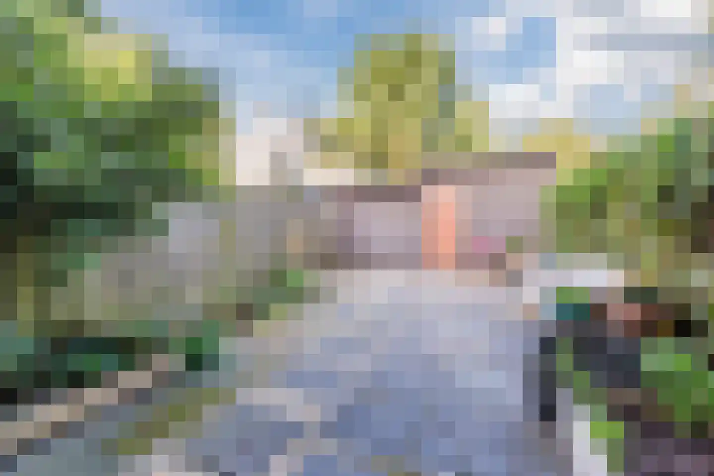 Abrikozenstraat 65 Amsterdam thumbnail 12