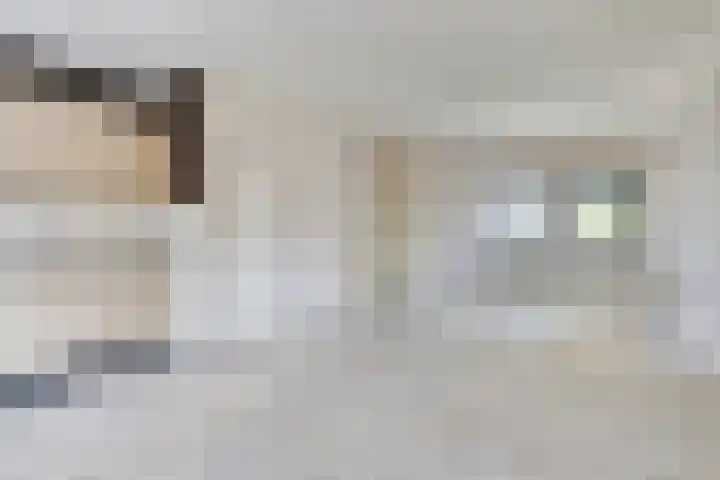 Abrikozenstraat 67 Amsterdam thumbnail 9