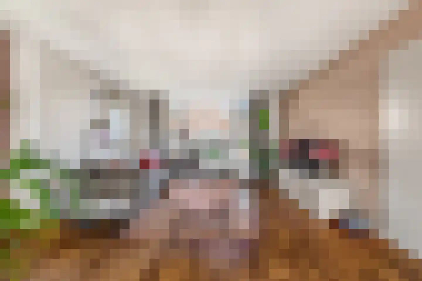 Absalon 8 Limmen thumbnail 13