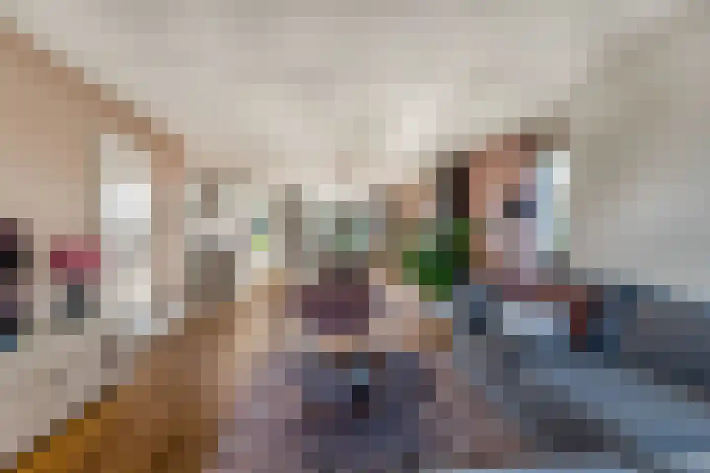 Absalon 8 Limmen thumbnail 16
