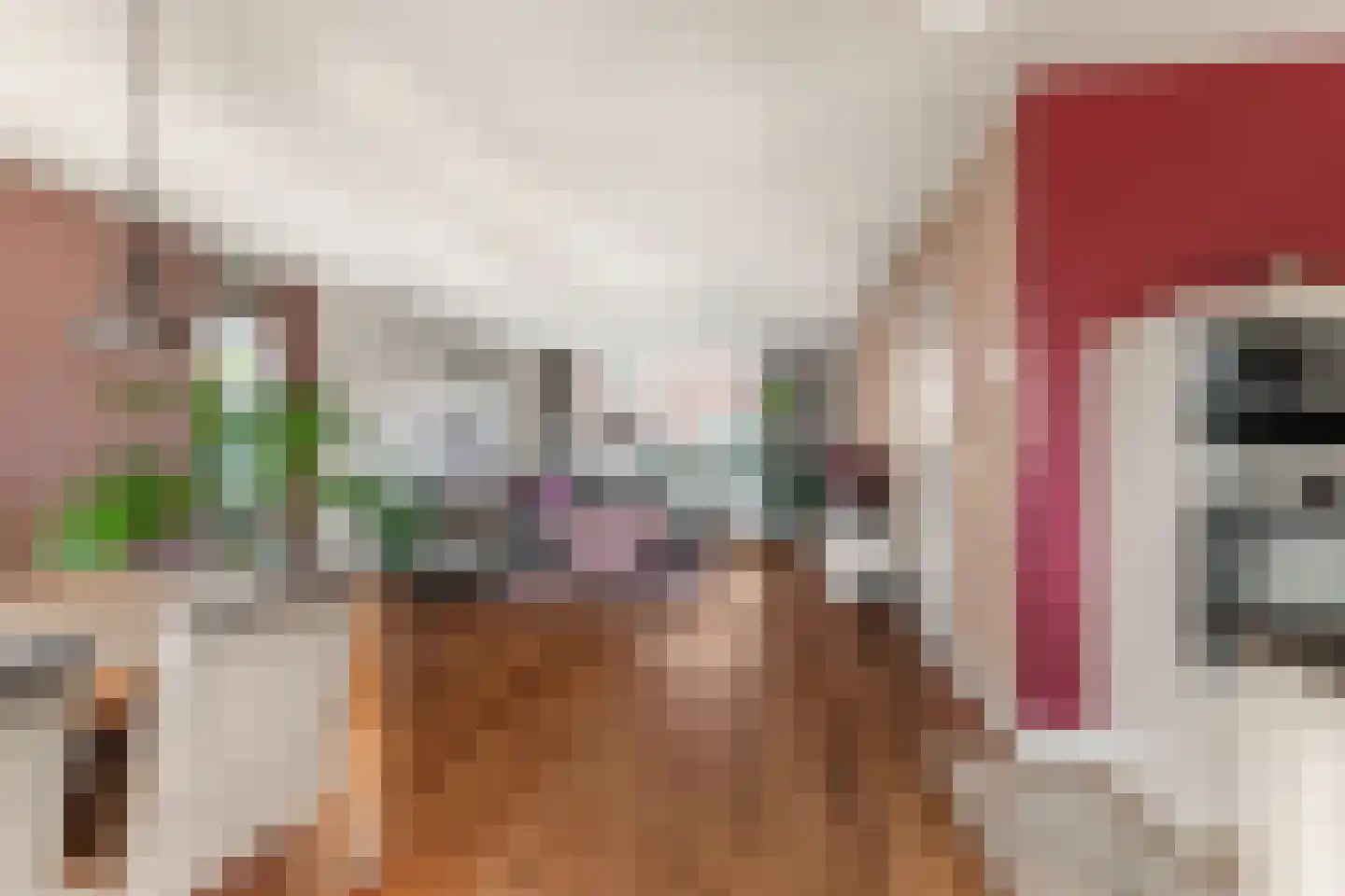 Absalon 8 Limmen thumbnail 17