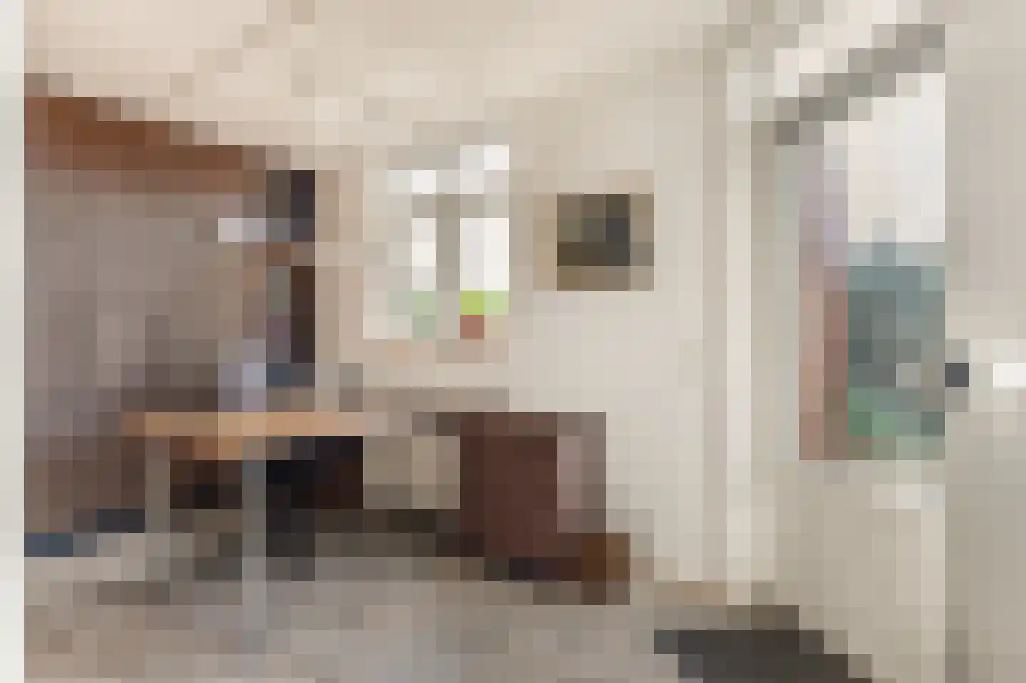 Absalon 8 Limmen thumbnail 31
