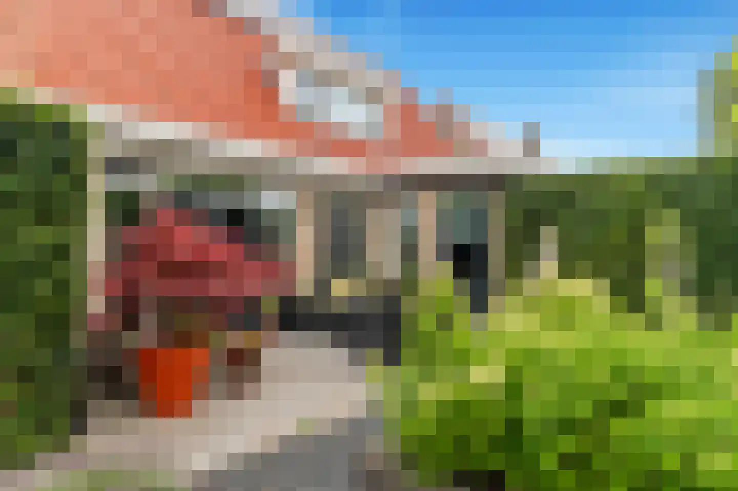 Absalon 8 Limmen thumbnail 53