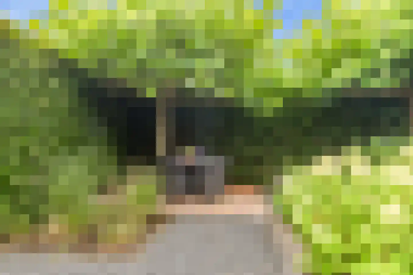 Absalon 8 Limmen thumbnail 59