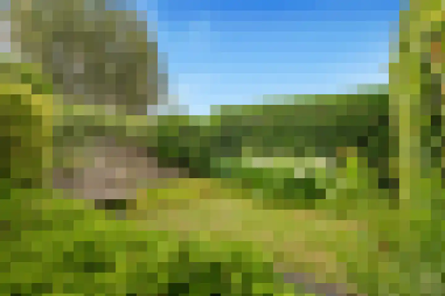 Absalon 8 Limmen thumbnail 61