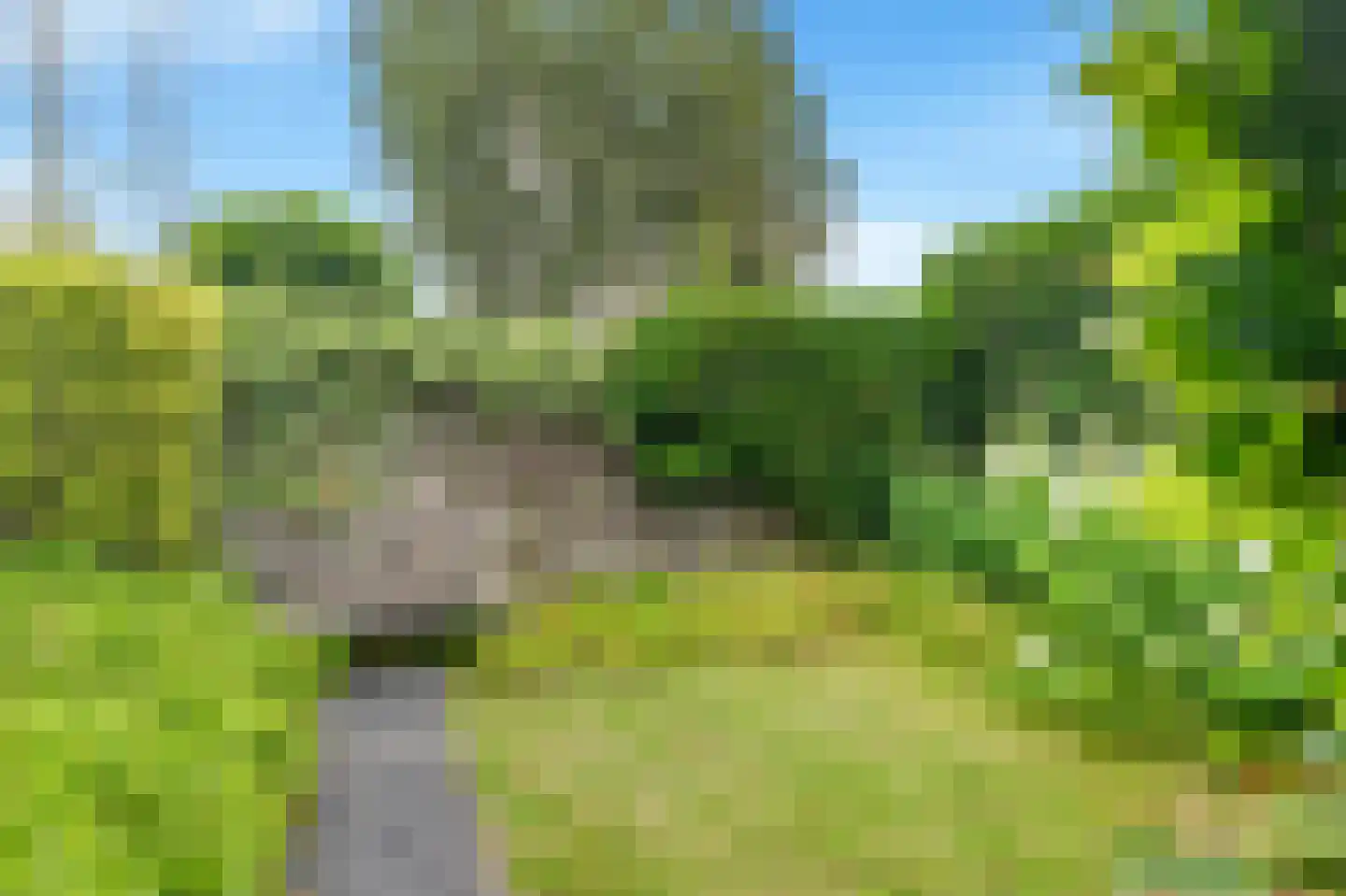 Absalon 8 Limmen thumbnail 62