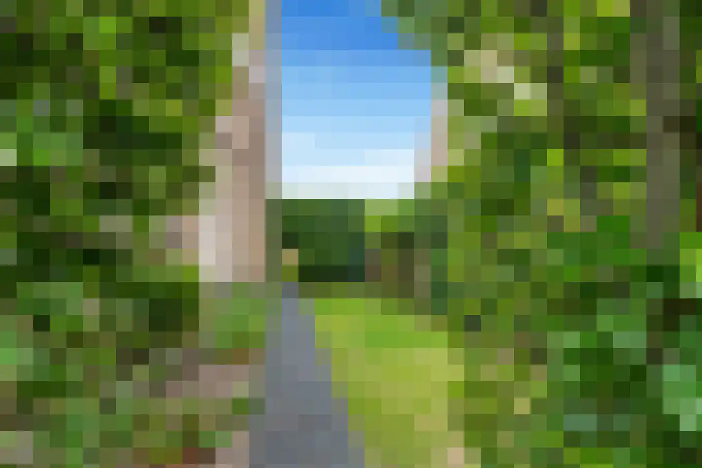 Absalon 8 Limmen thumbnail 64