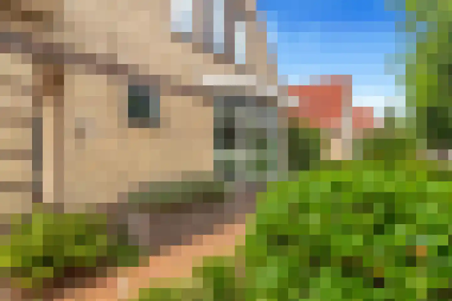 Absalon 8 Limmen thumbnail 68