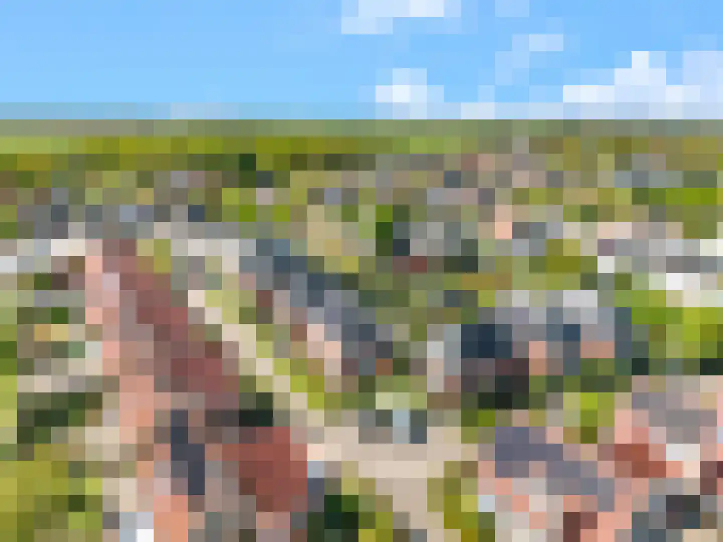 Absalon 8 Limmen thumbnail 70