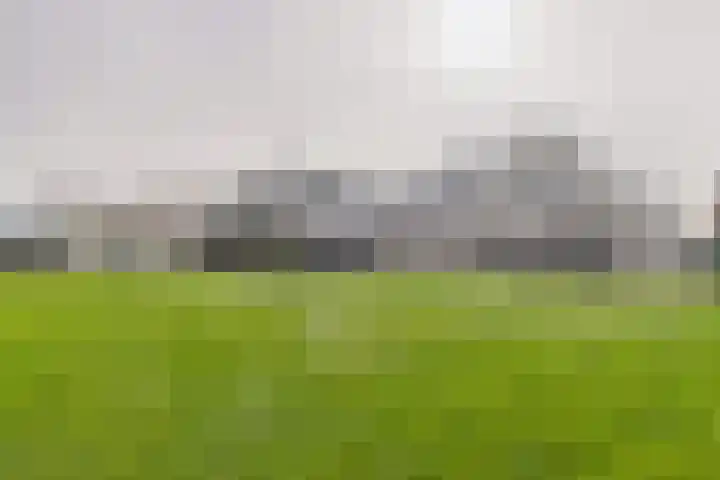 Absdaalseweg 16 Hulst thumbnail 23