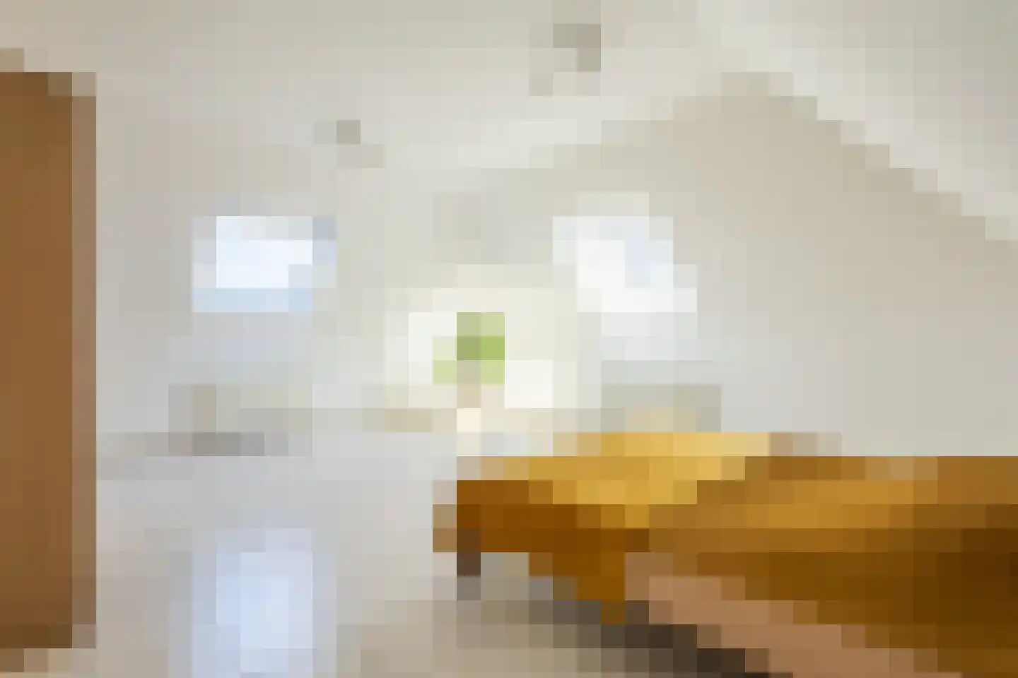 Absdaalseweg 16 Hulst thumbnail 23