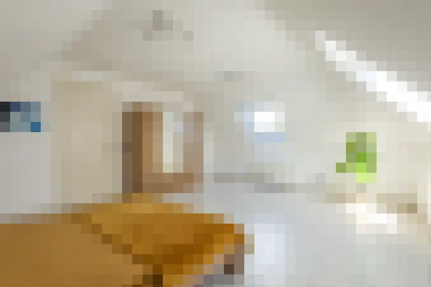 Absdaalseweg 16 Hulst thumbnail 24