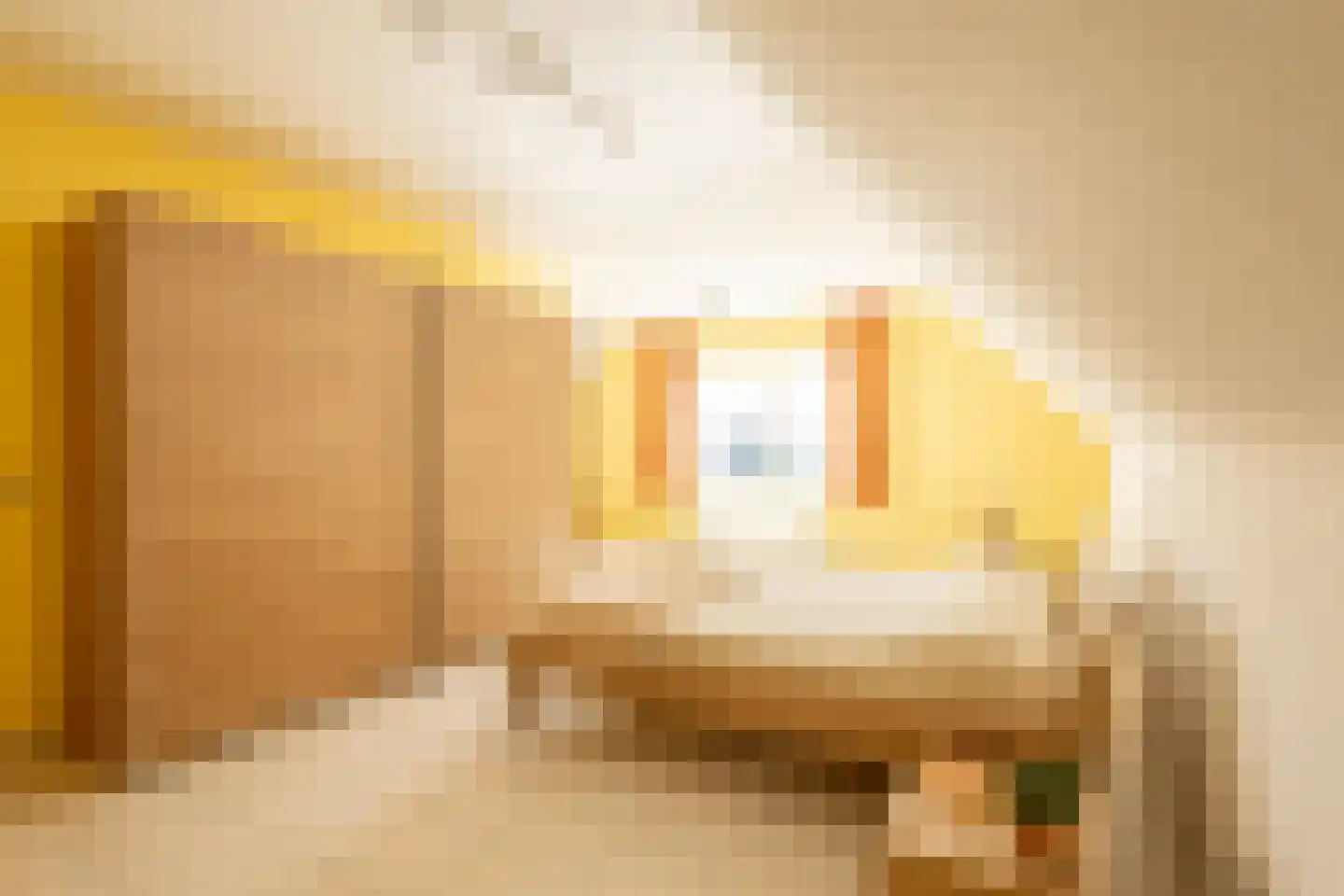 Absdaalseweg 16 Hulst thumbnail 27