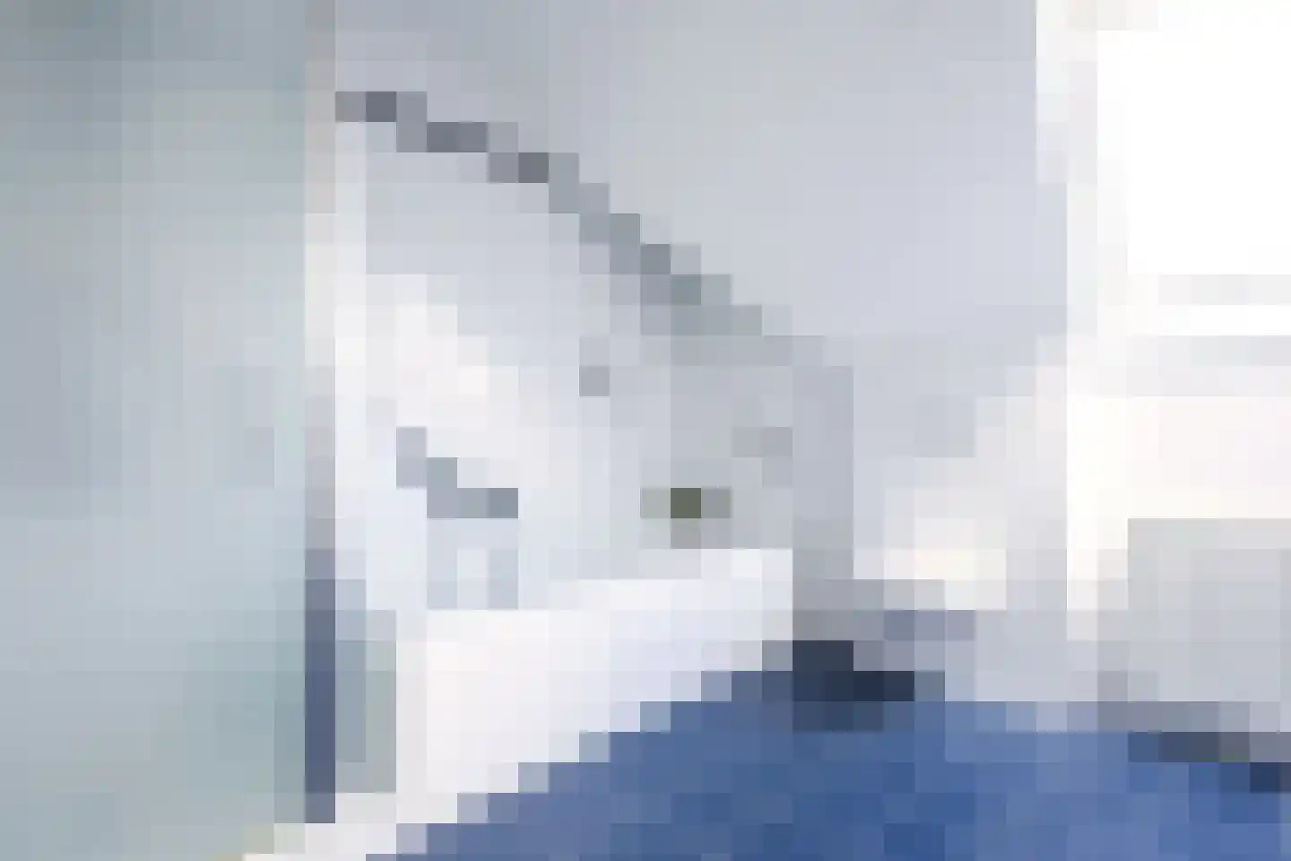 Absdaalseweg 16 Hulst thumbnail 30
