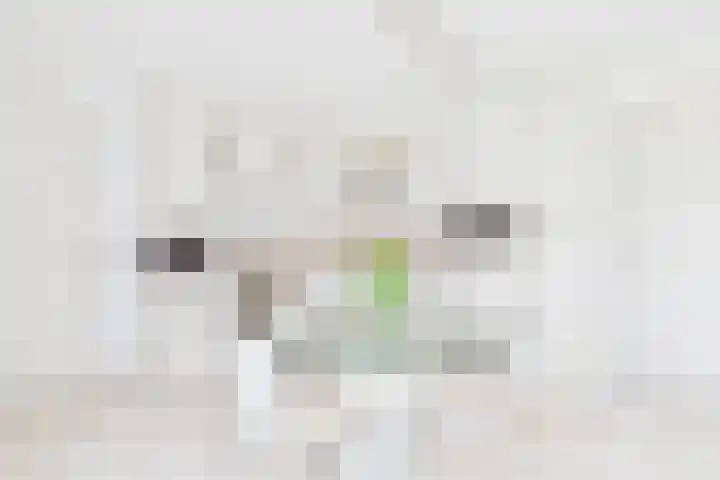 Absdaalseweg 16 Hulst thumbnail 4