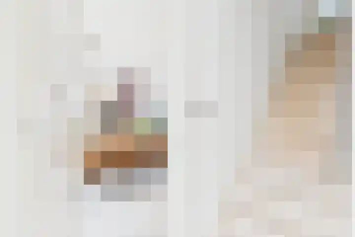 Absdaalseweg 16 Hulst thumbnail 6