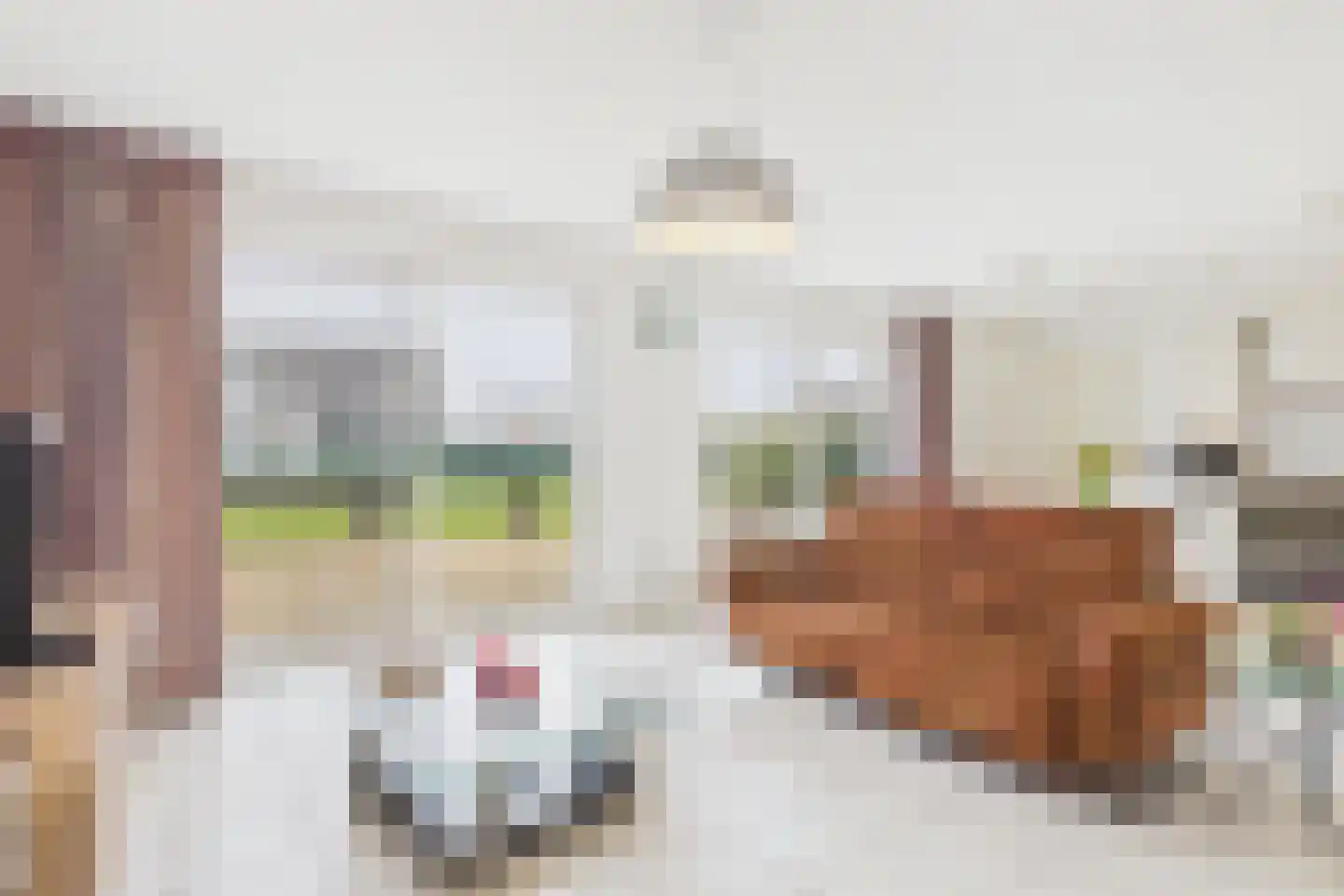 Absdaalseweg 16 Hulst thumbnail 8