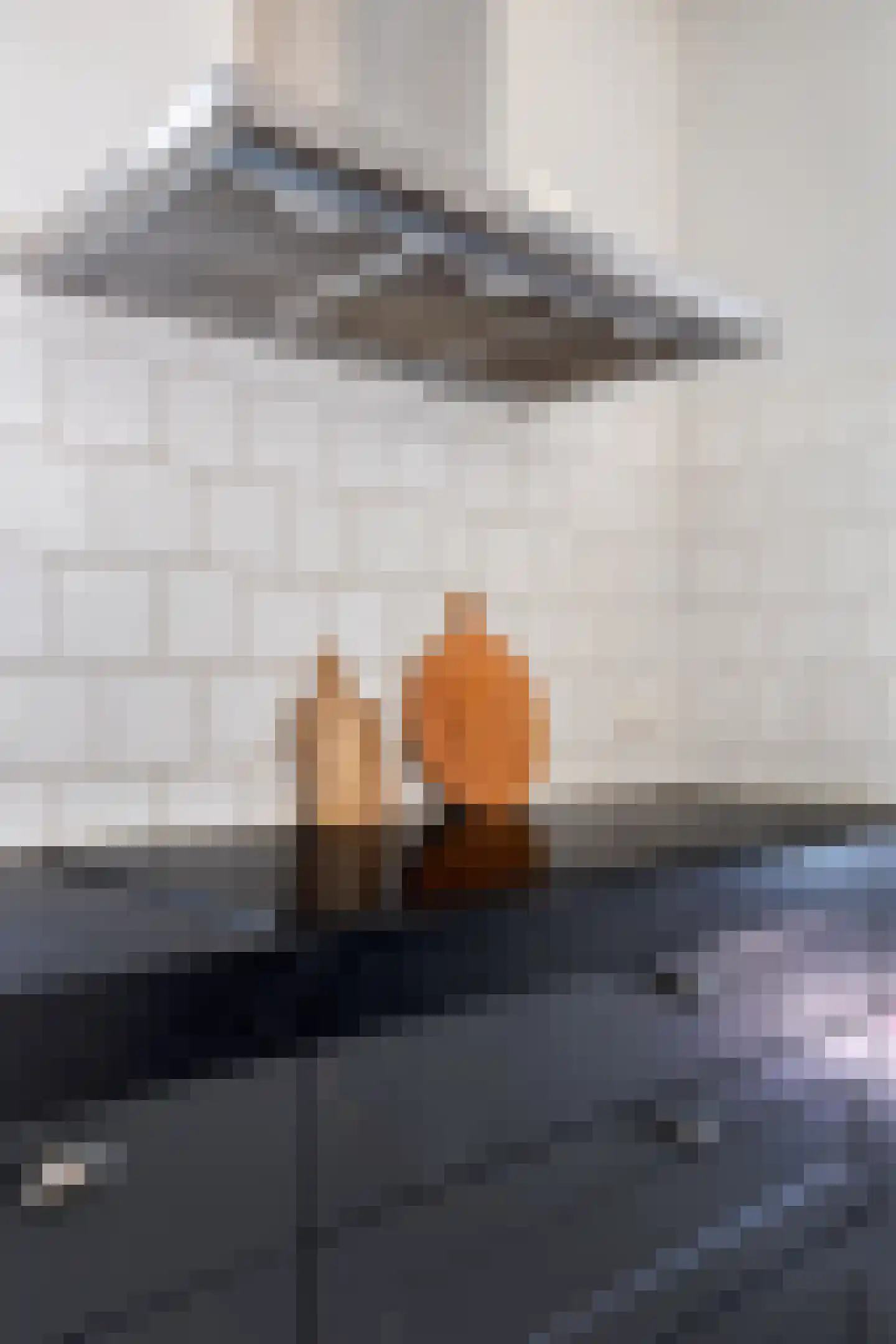 Absdaalseweg 47 Hulst thumbnail 10