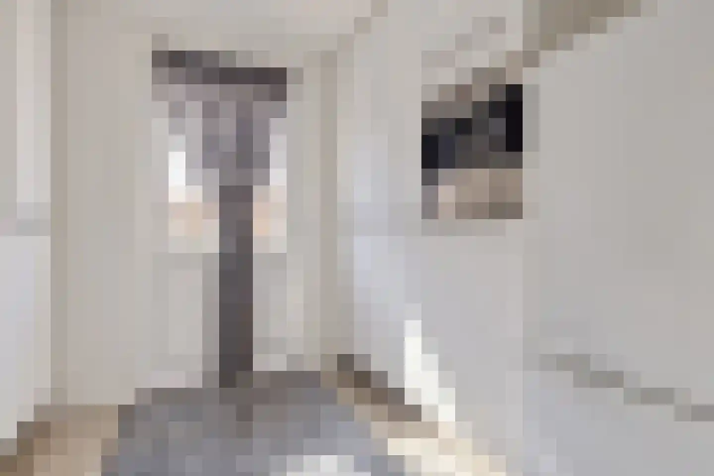 Absdaalseweg 47 Hulst thumbnail 14