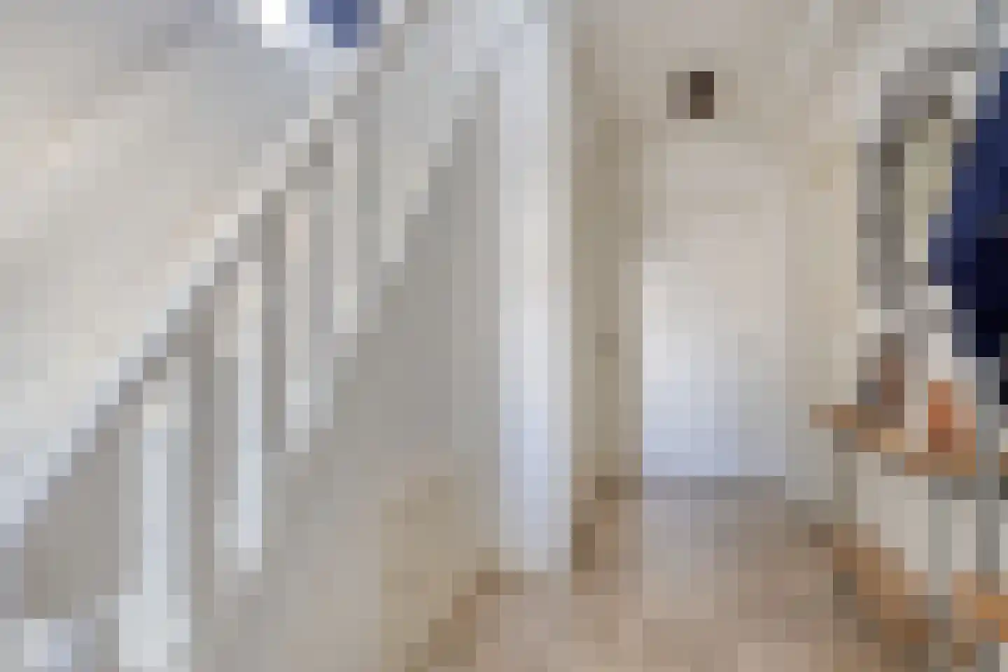 Absdaalseweg 47 Hulst thumbnail 16