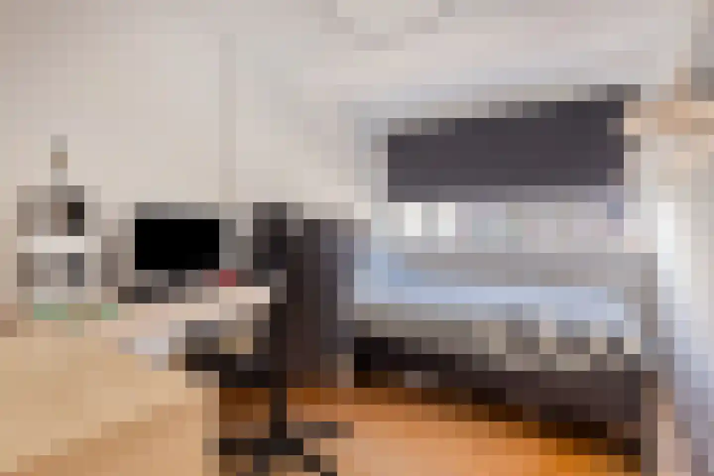 Absdaalseweg 47 Hulst thumbnail 21