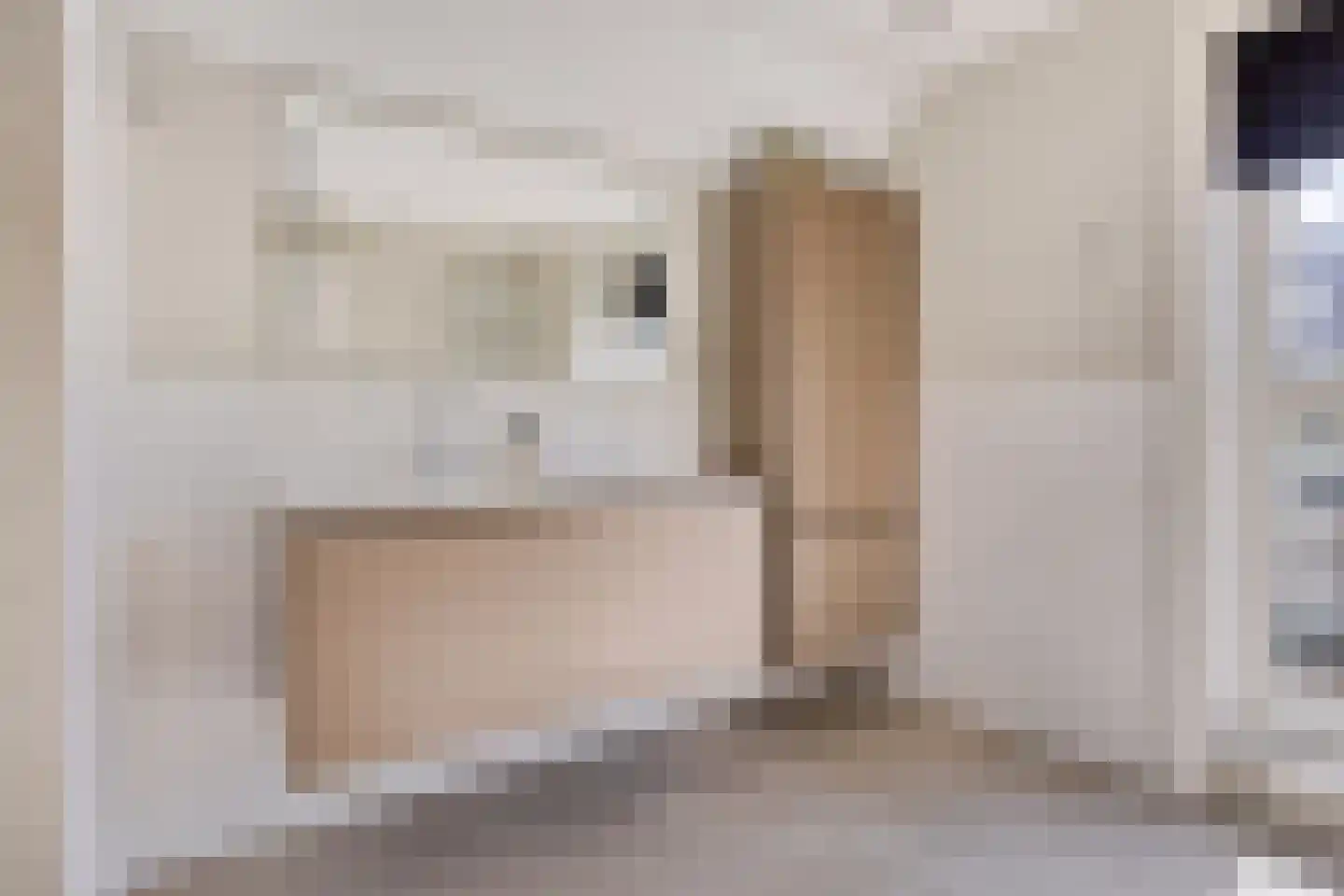 Absdaalseweg 47 Hulst thumbnail 23