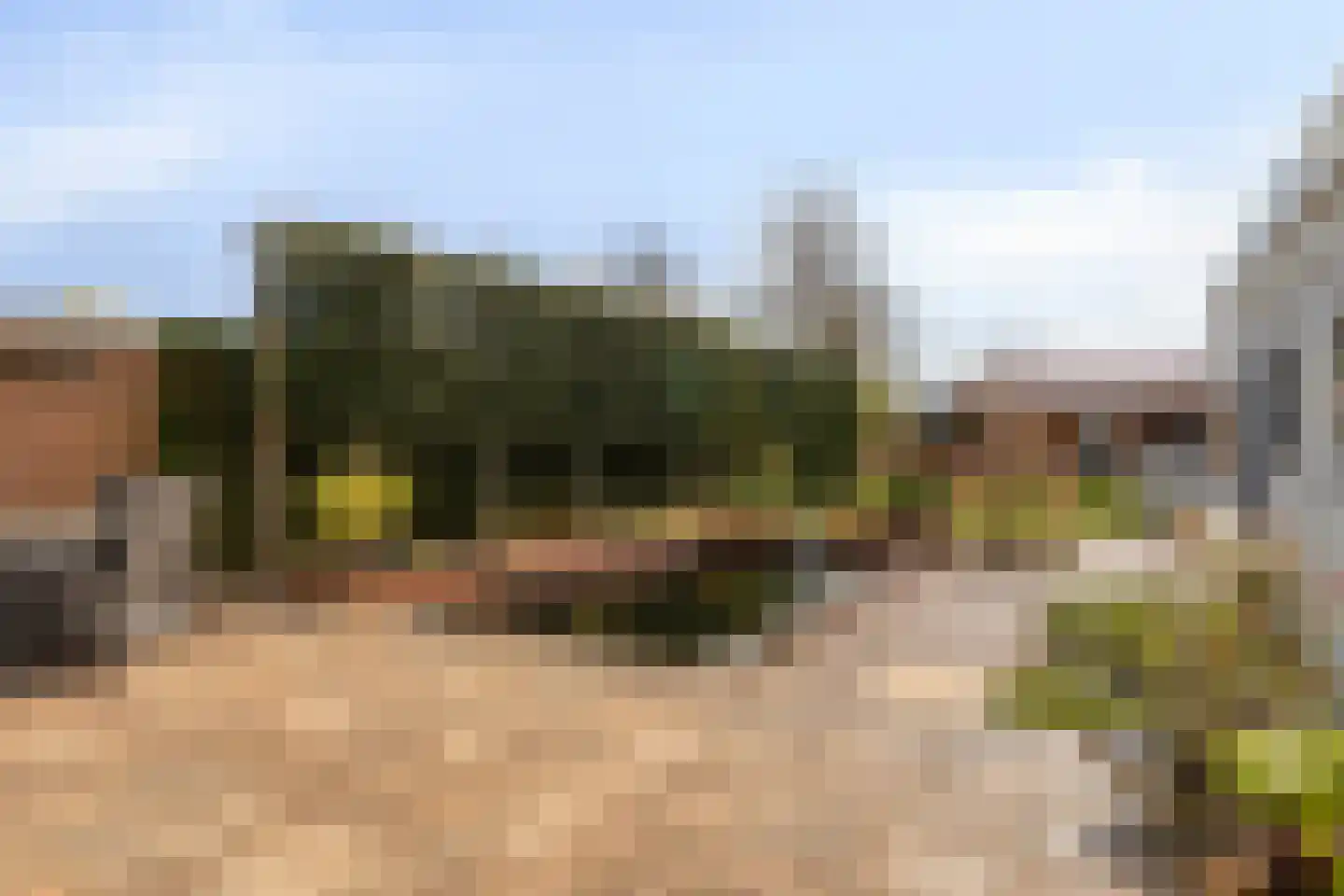 Absdaalseweg 47 Hulst thumbnail 25