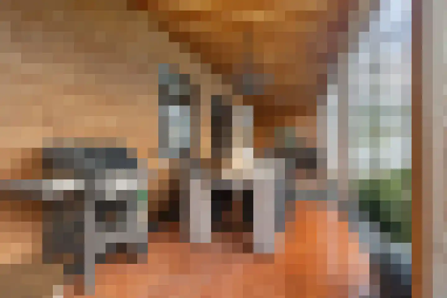Absdaalseweg 47 Hulst thumbnail 27