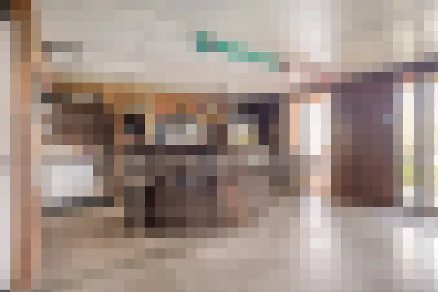 Absdaalseweg 47 Hulst thumbnail 30