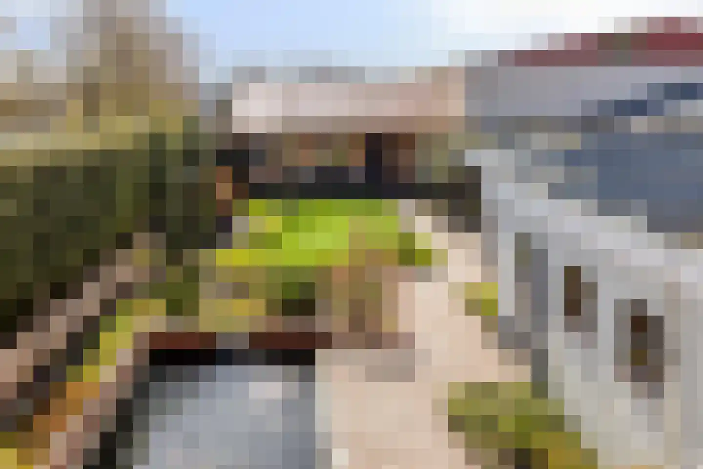 Absdaalseweg 47 Hulst thumbnail 30