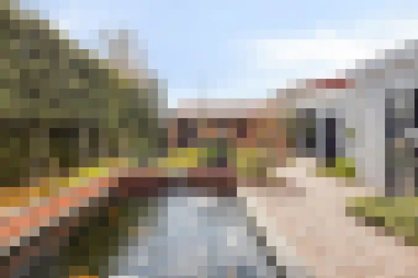 Absdaalseweg 47 Hulst thumbnail 33