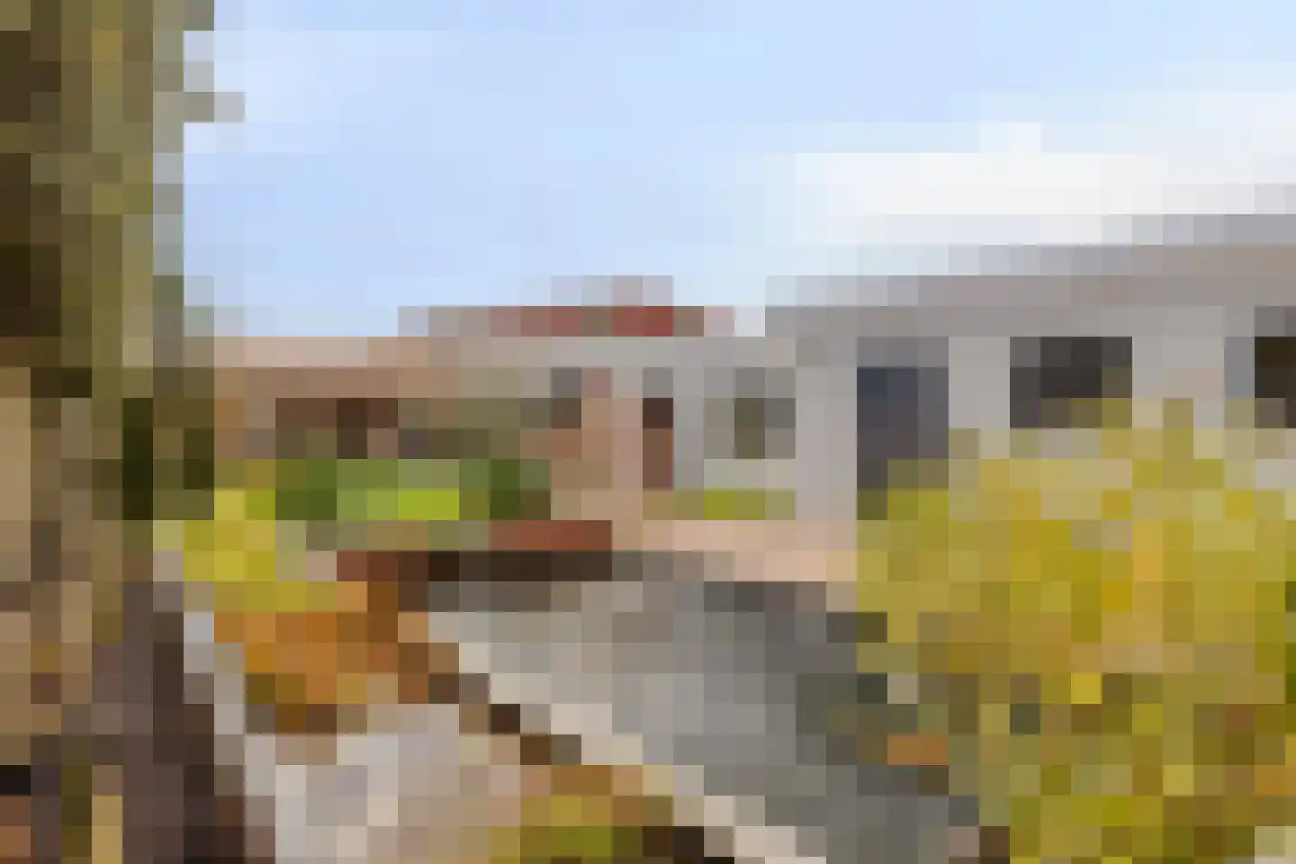 Absdaalseweg 47 Hulst thumbnail 34