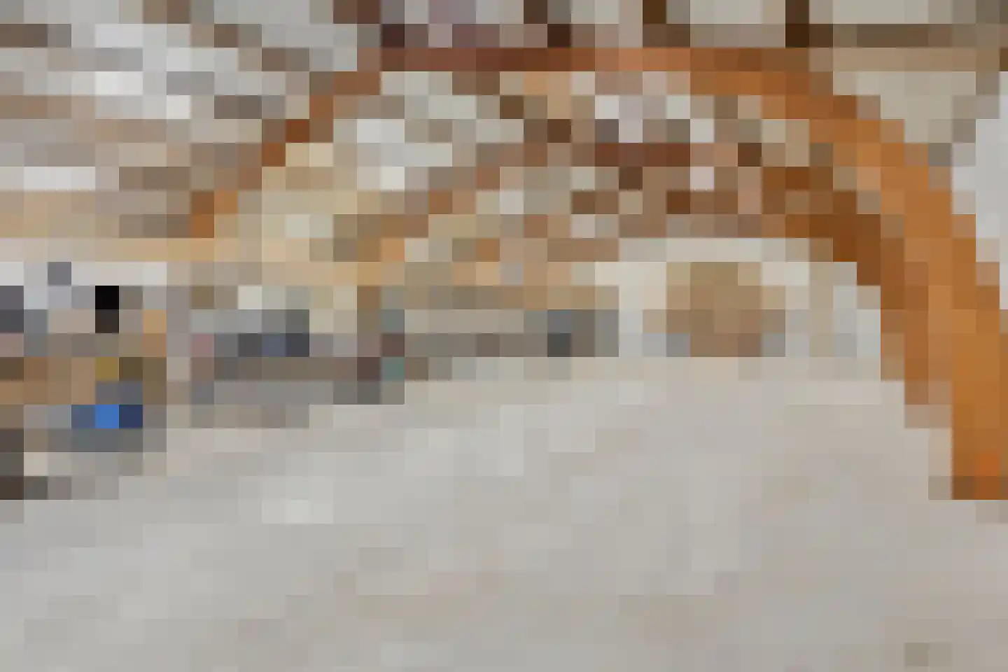 Absdaalseweg 47 Hulst thumbnail 34