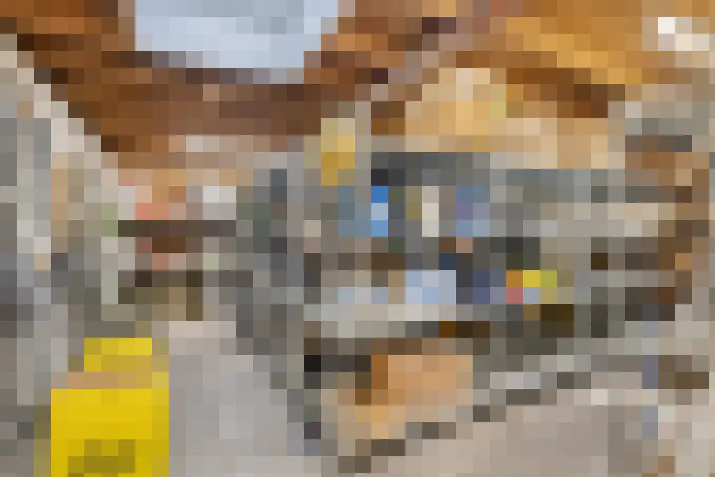 Absdaalseweg 47 Hulst thumbnail 36