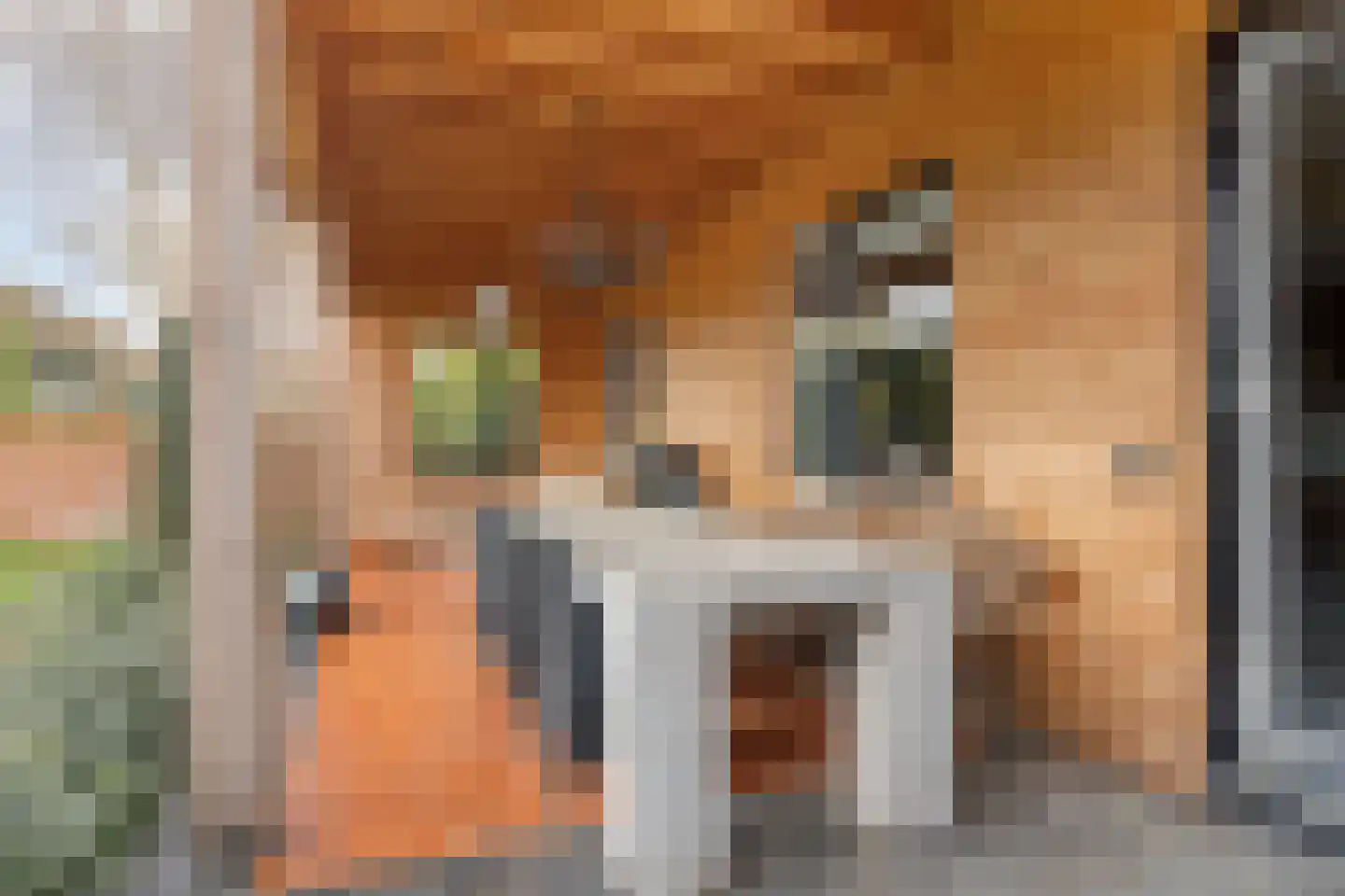 Absdaalseweg 47 Hulst thumbnail 40