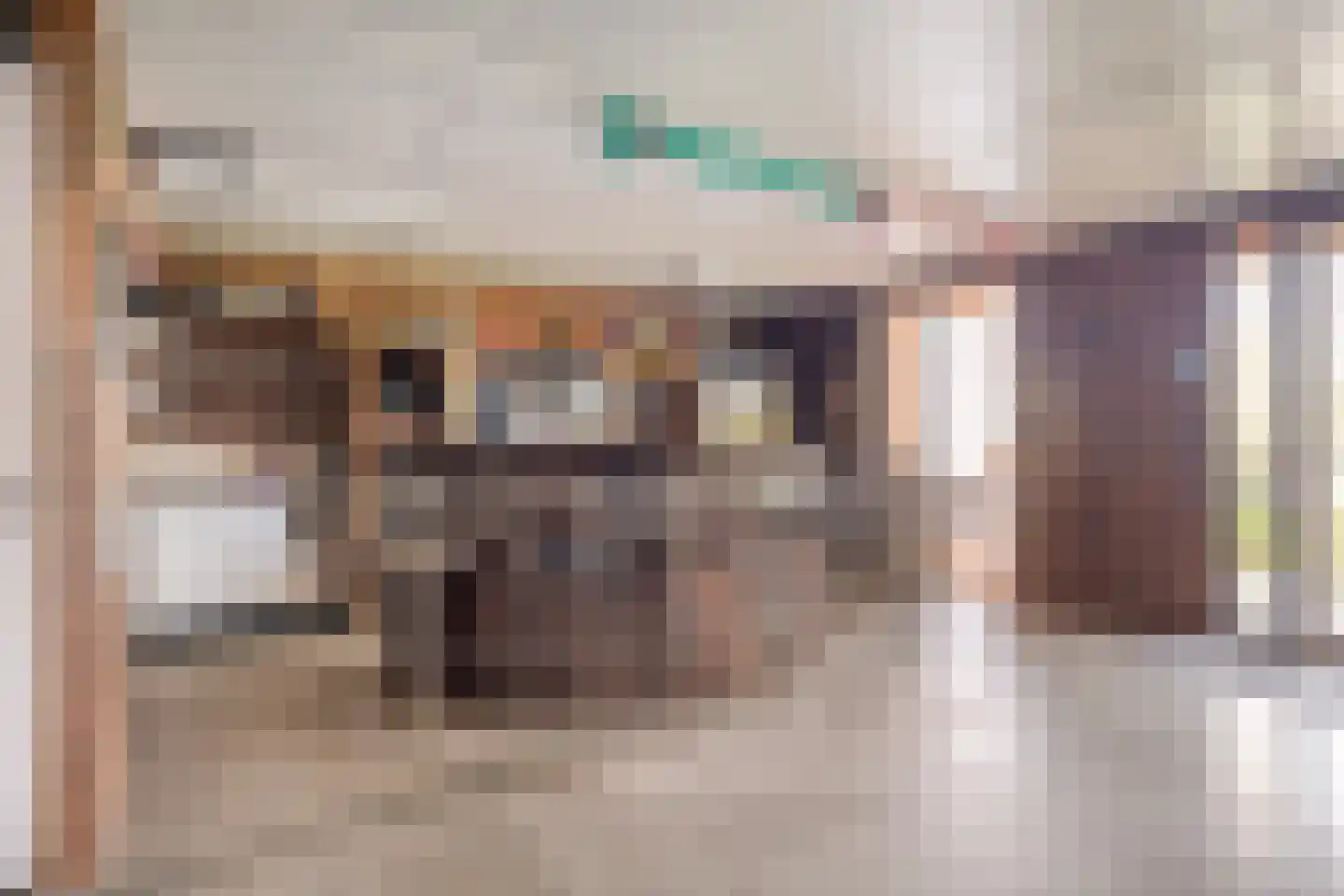 Absdaalseweg 47 Hulst thumbnail 42