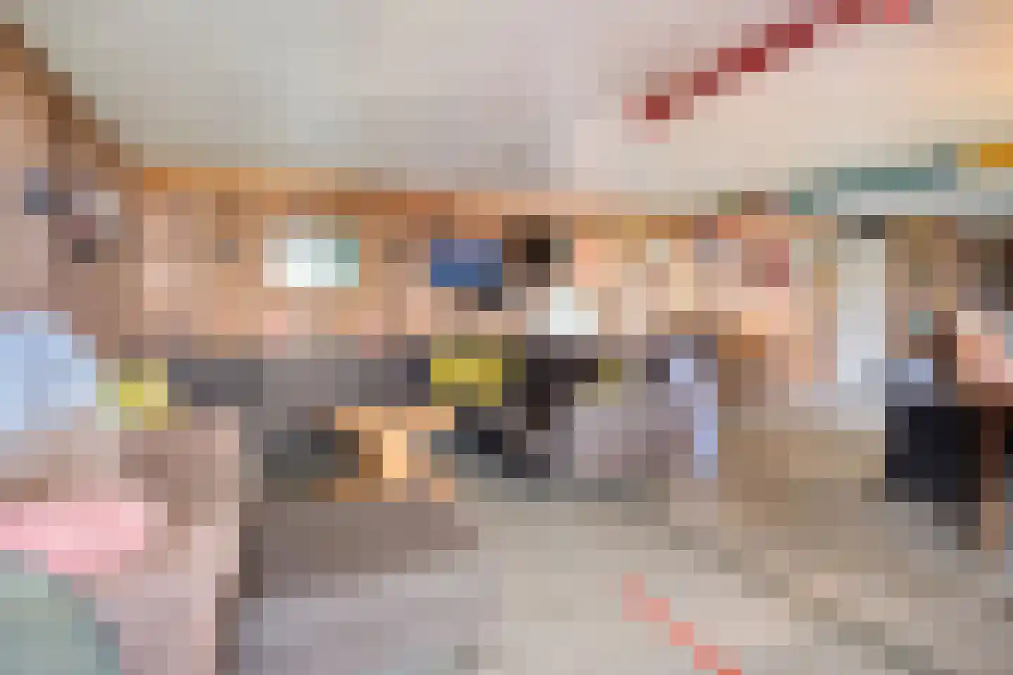 Absdaalseweg 47 Hulst thumbnail 43