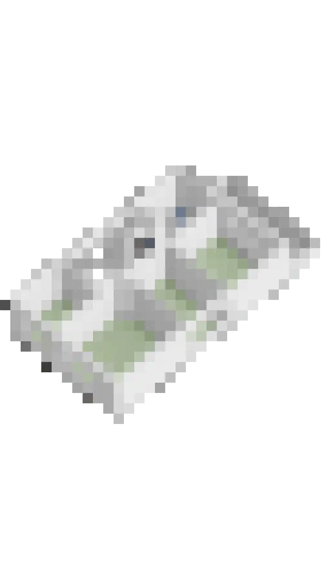Absdaalseweg 47 Hulst thumbnail 47