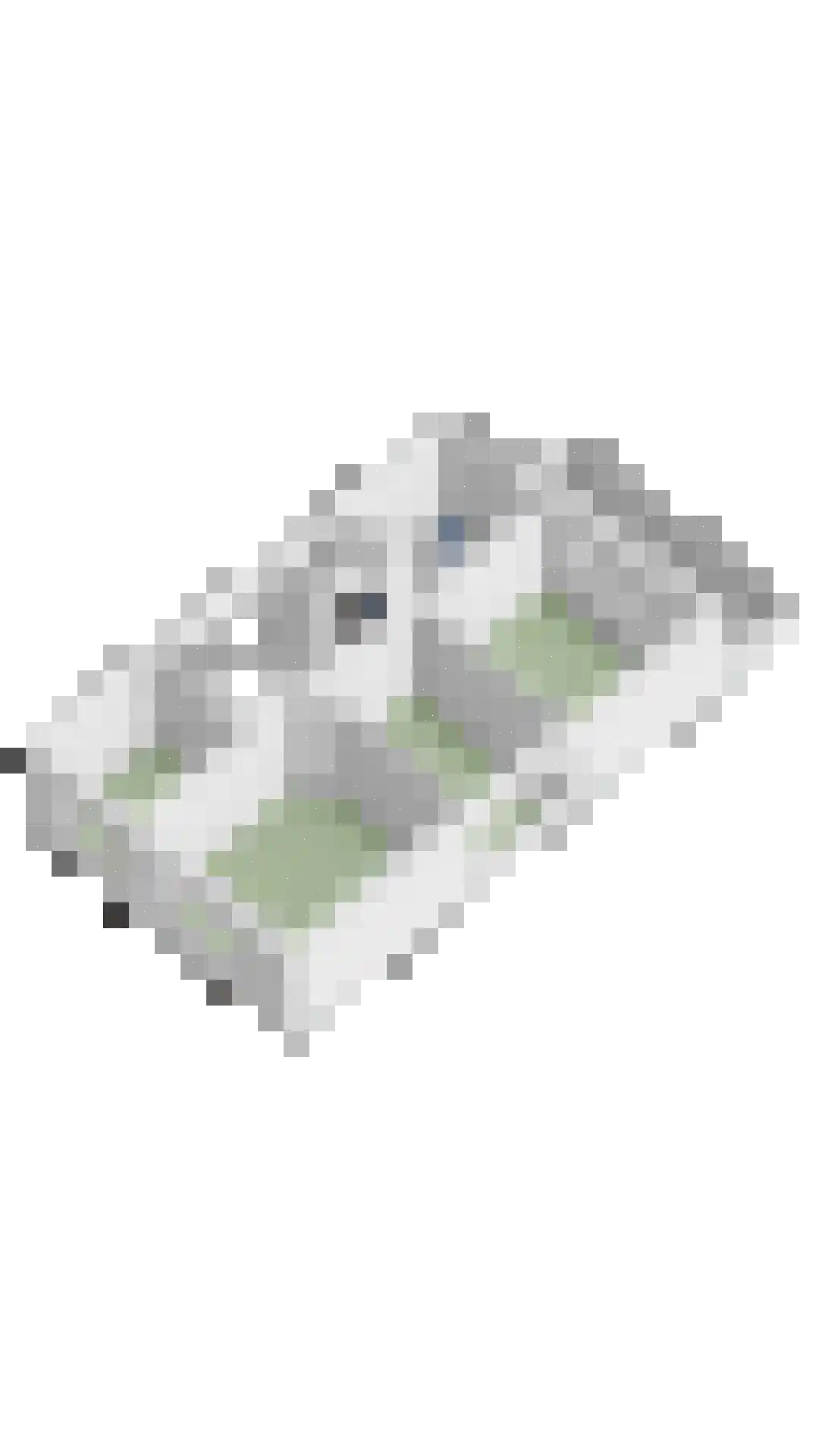 Absdaalseweg 47 Hulst thumbnail 49