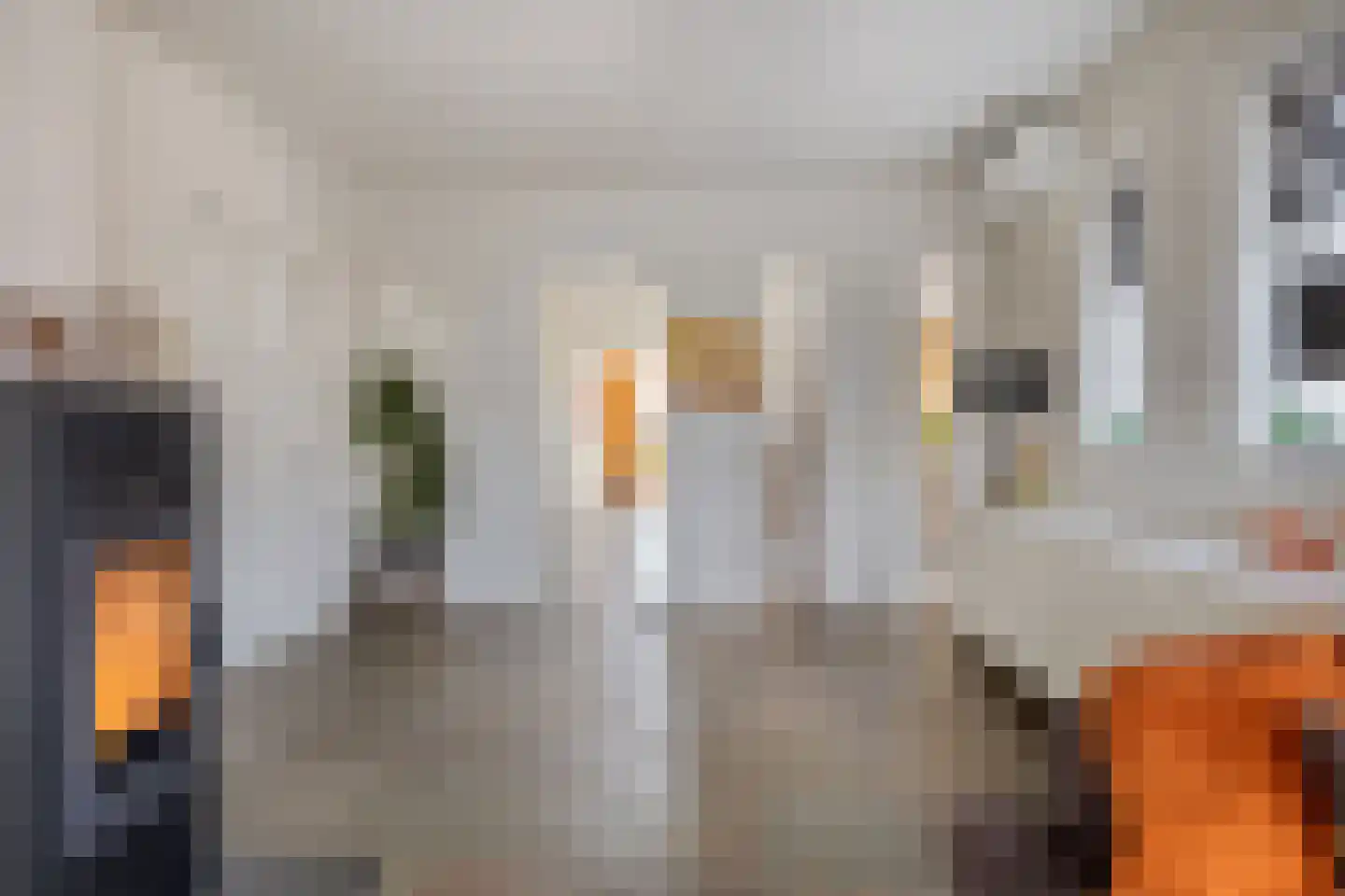 Absdaalseweg 47 Hulst thumbnail 5