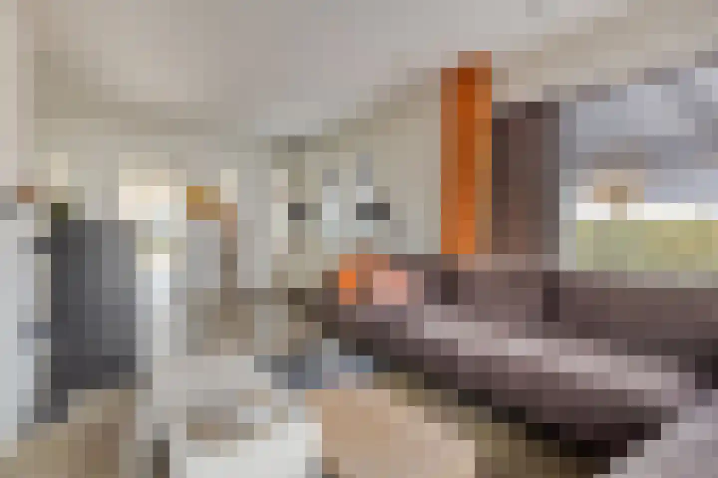Absdaalseweg 47 Hulst thumbnail 6