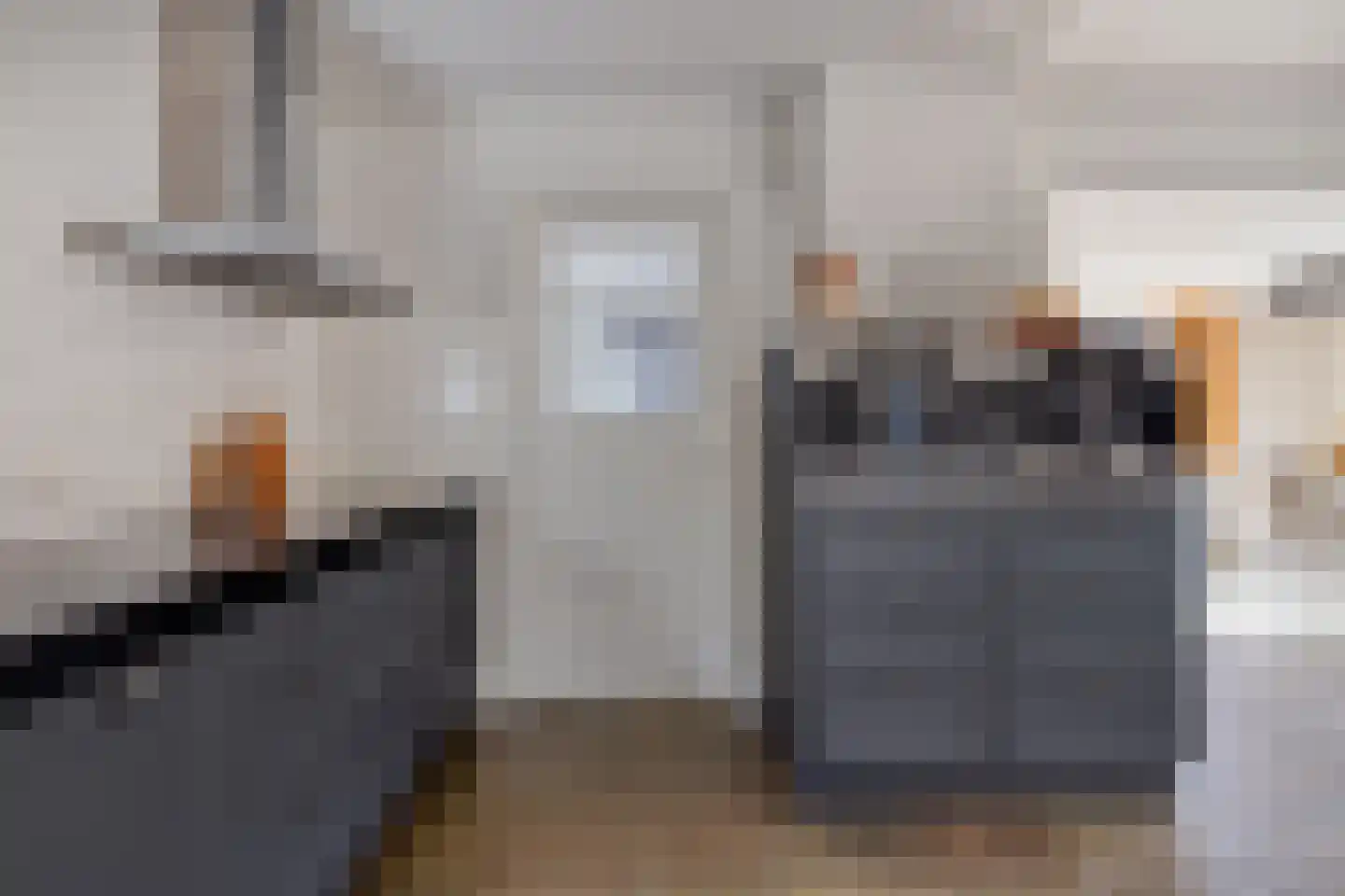 Absdaalseweg 47 Hulst thumbnail 9