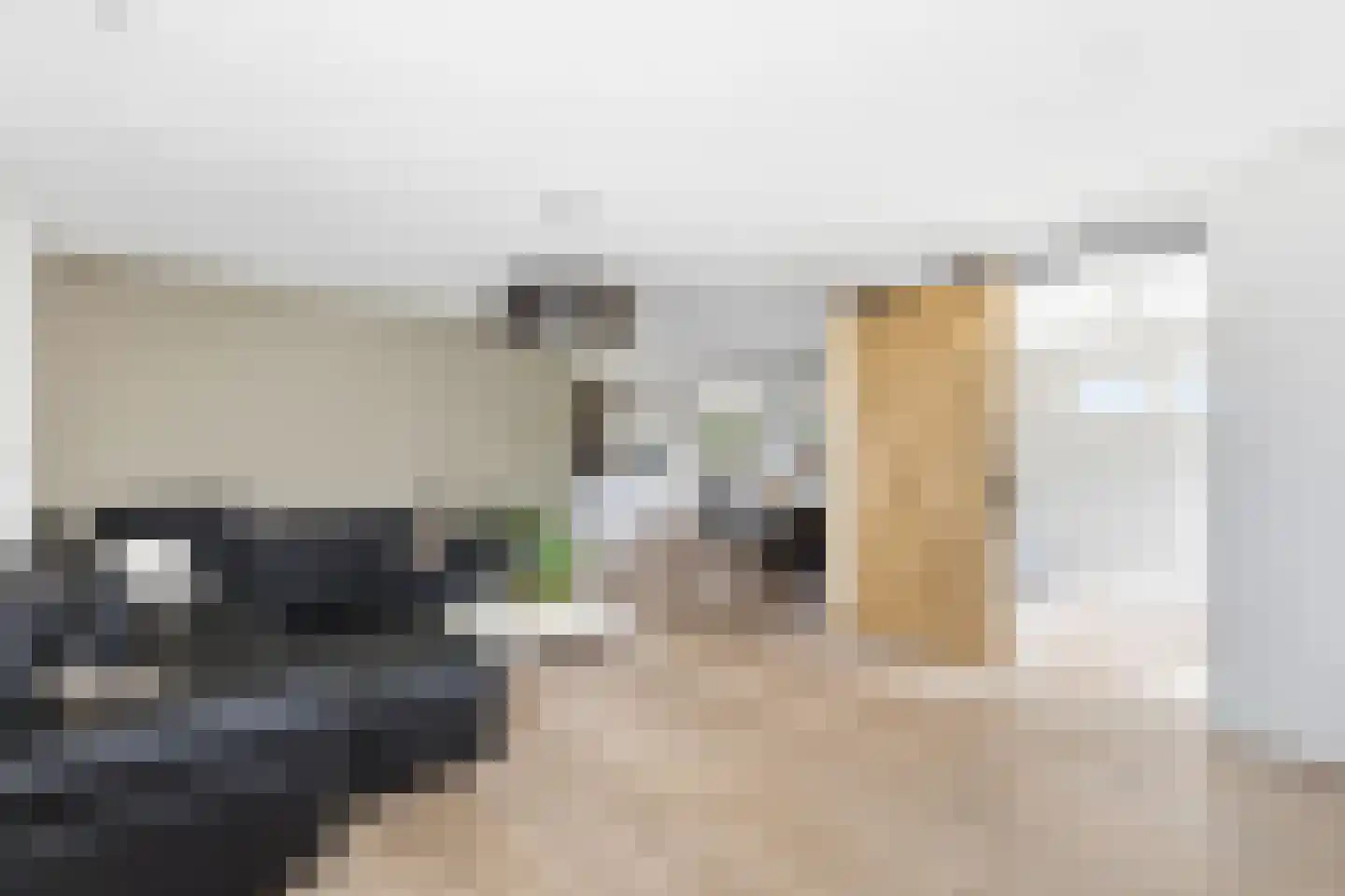 Absdaalseweg 54 Hulst thumbnail 17