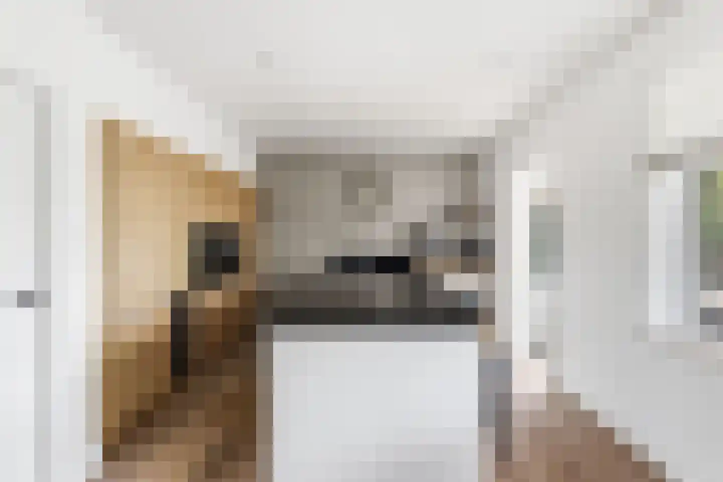 Absdaalseweg 54 Hulst thumbnail 20