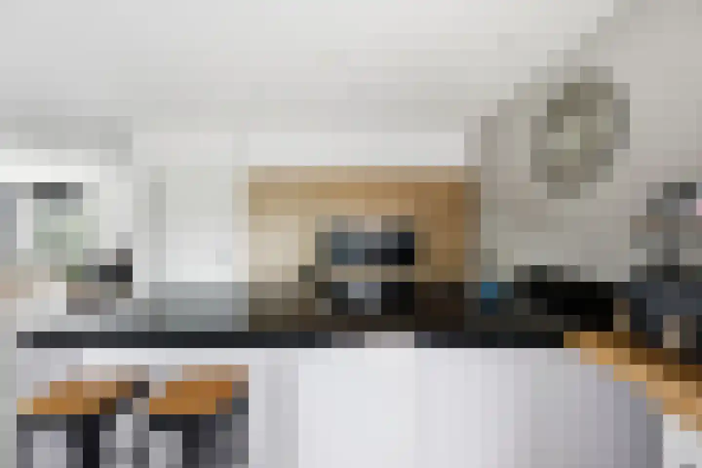 Absdaalseweg 54 Hulst thumbnail 21