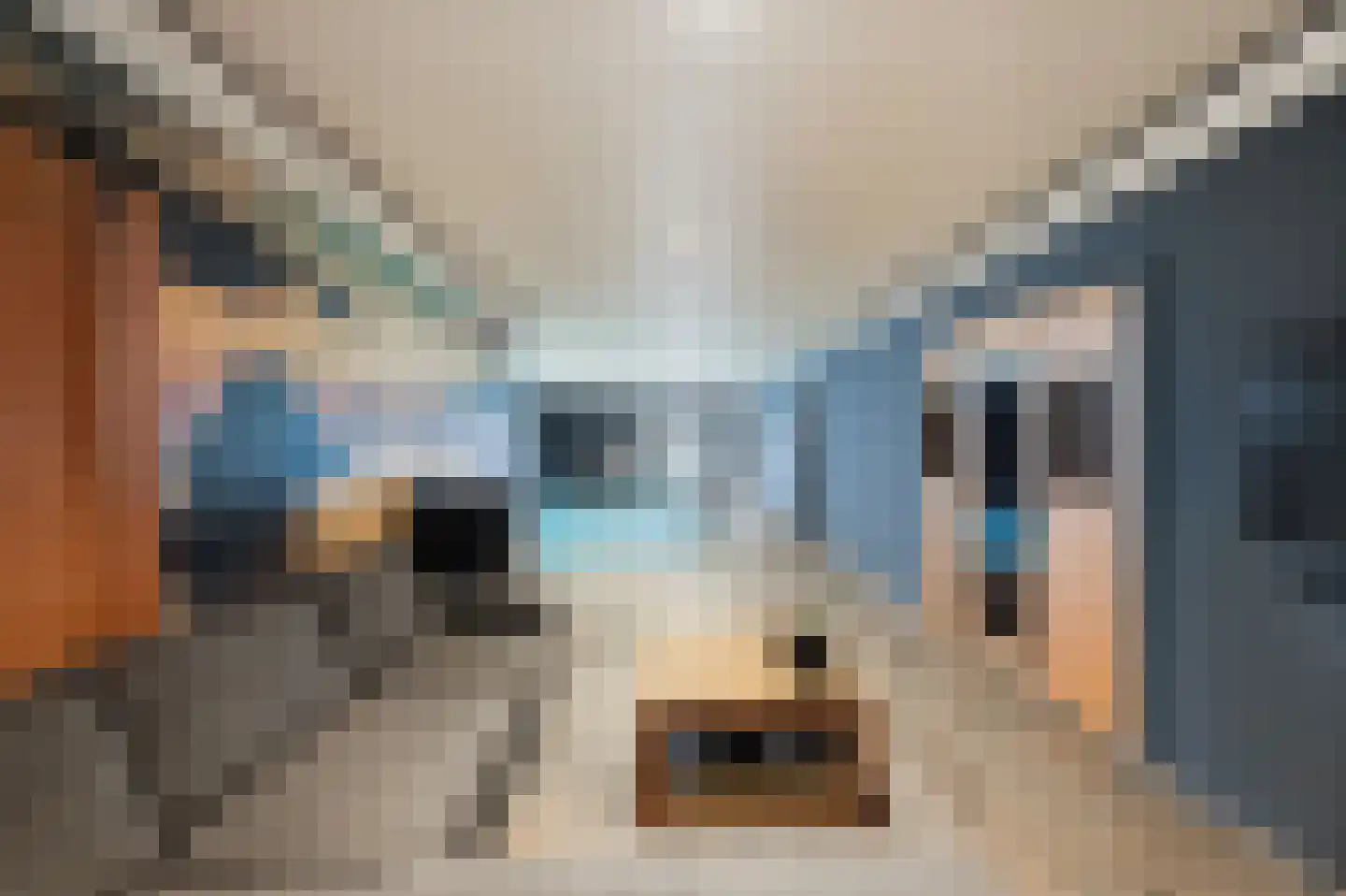 Absdaalseweg 54 Hulst thumbnail 28