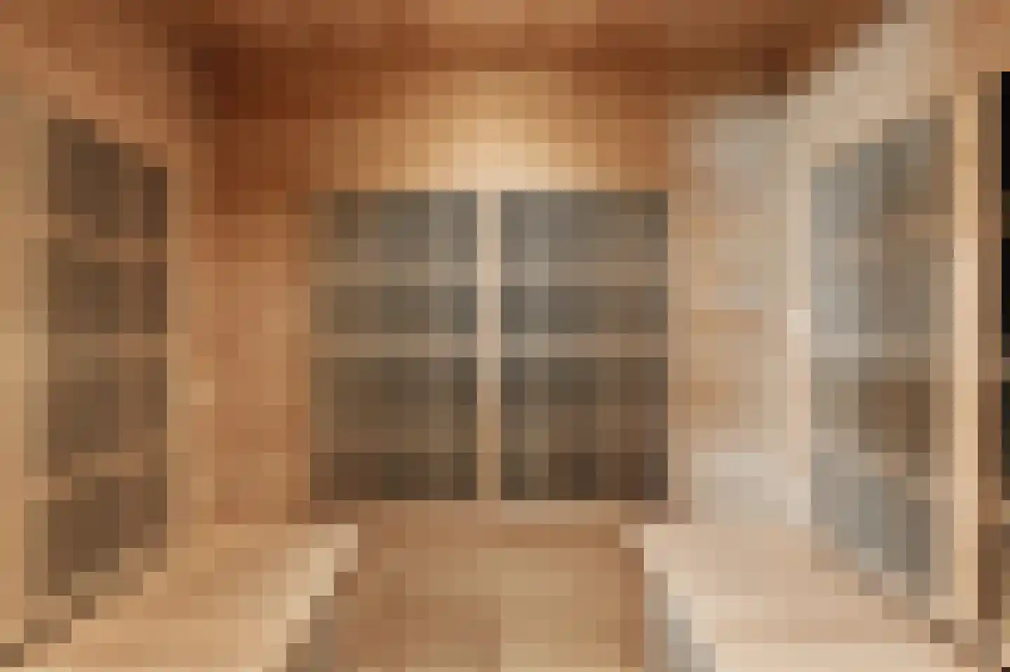 Absdaalseweg 54 Hulst thumbnail 29
