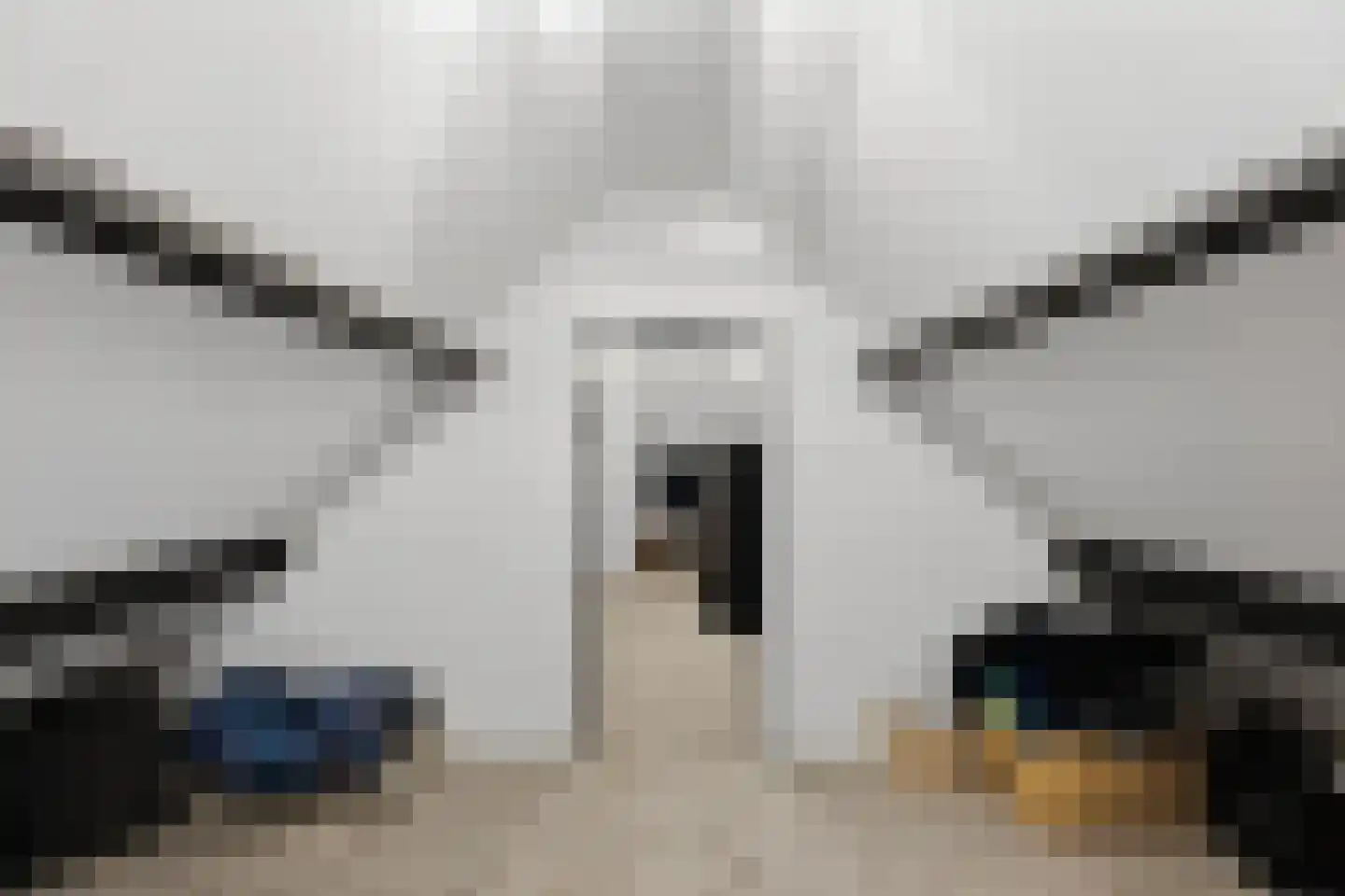 Absdaalseweg 54 Hulst thumbnail 31
